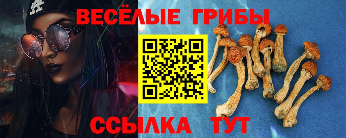 Псилоцибиновые грибы Psilocybine cubensis  Вход с VPN  Кольчугино 
